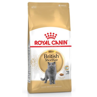 royal-canin-bsh-n