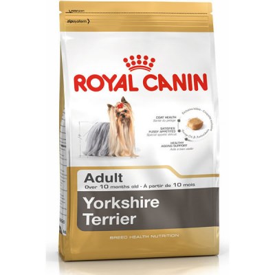 royal-canin-yorkshire-terrier